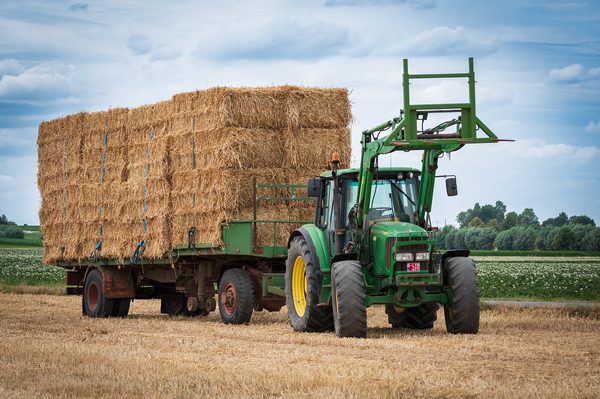 Actualités agricoles dans le nord : enjeux et innovations